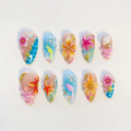 Seashell Dream