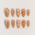 Seashell Dream